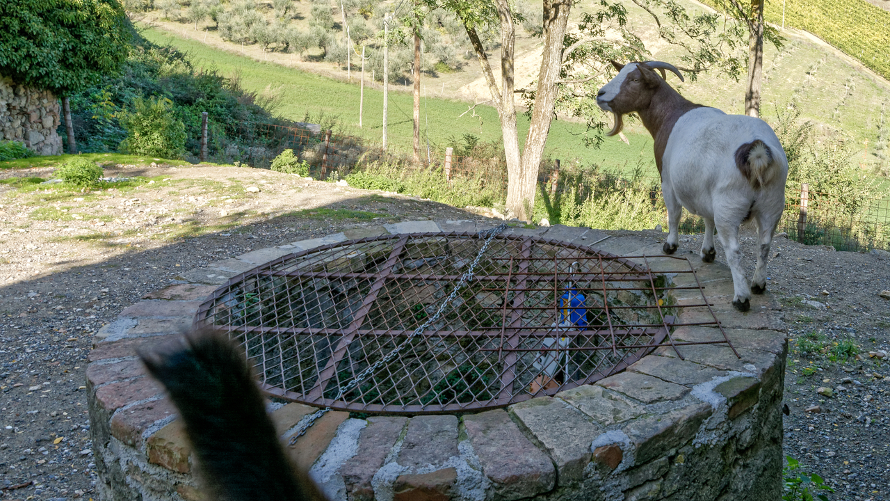 20191026 145138•Gambassi Terme•Tuscany•Italy